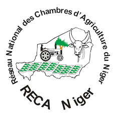 Logo RECA